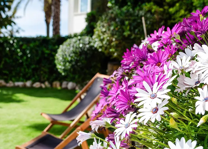 El Riu Del Cel Willa *