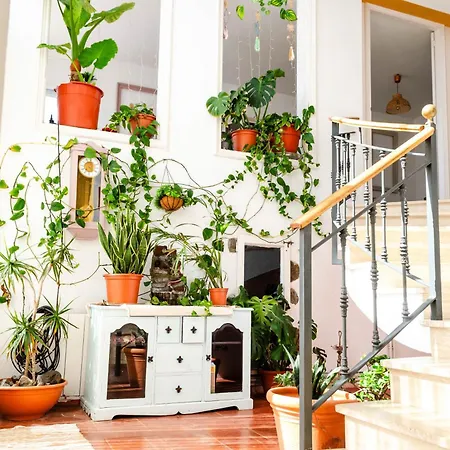 Villa El Riu Del Cel Lloret de Mar