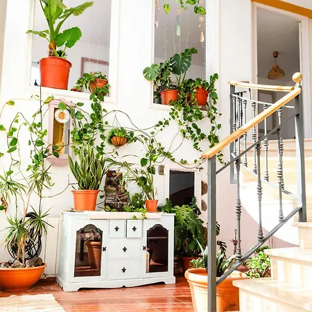 Villa El Riu Del Cel